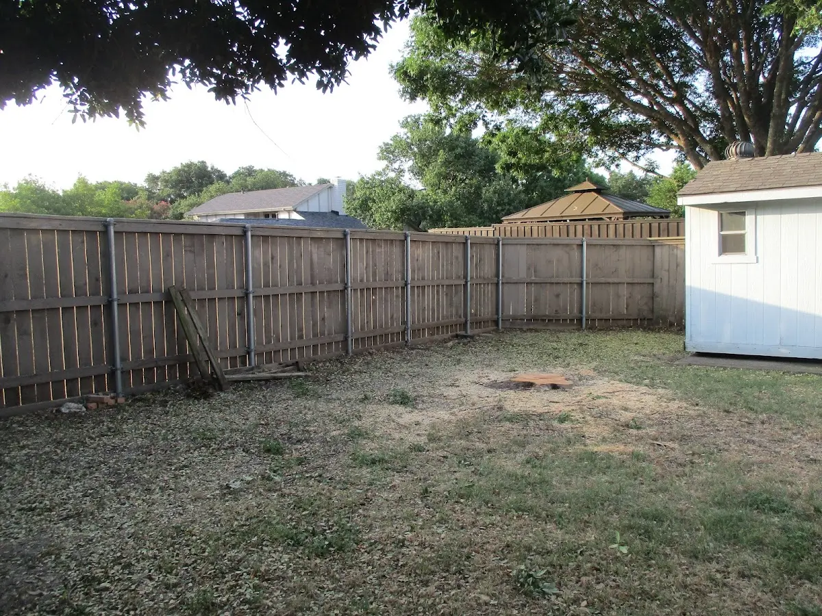 Cleared yard after professional tree removal in New Milton